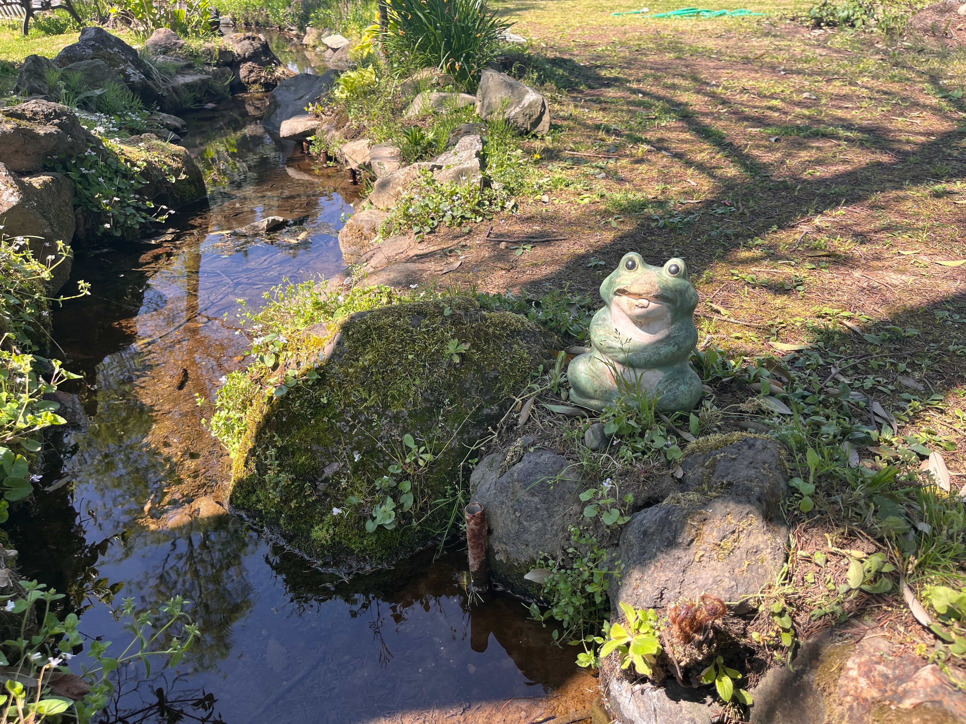 桐生あんず電波局