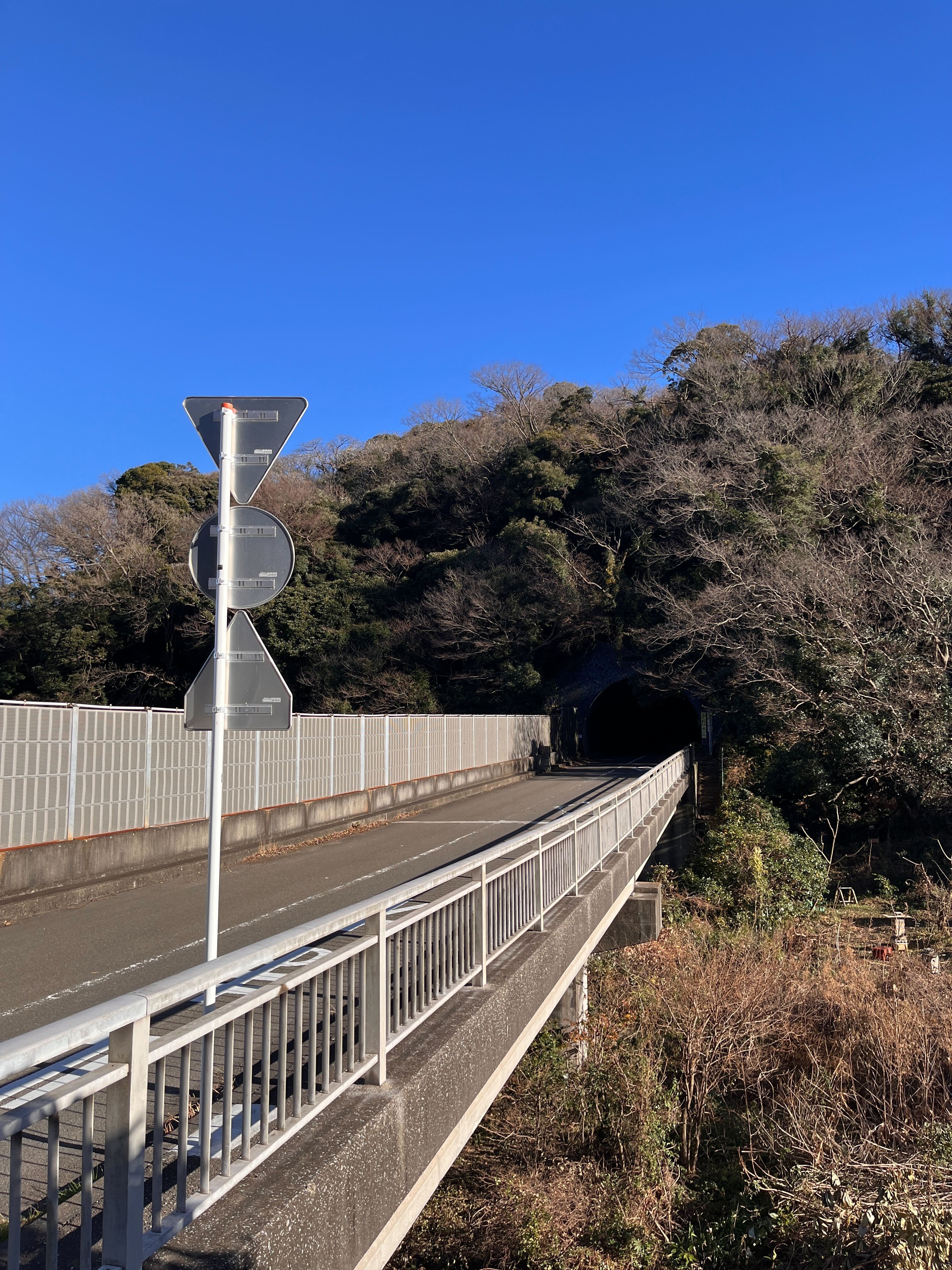 桐生あんず電波局